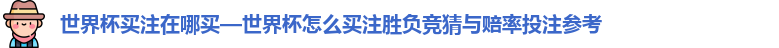 世界杯买注在哪买